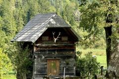 Waldsiedel - Foto: Franz Peter Stadler