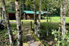 Waldsiedel - Foto: Franz Peter Stadler