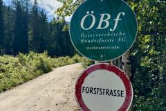 Waldsiedel - Foto: Franz Peter Stadler