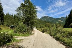 Waldsiedel - Foto: Franz Peter Stadler