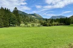Waldsiedel - Foto: Franz Peter Stadler