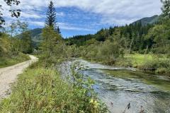 Waldsiedel - Foto: Franz Peter Stadler