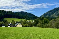 Waldsiedel - Foto: Franz Peter Stadler