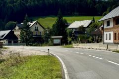 Waldsiedel - Foto: Franz Peter Stadler