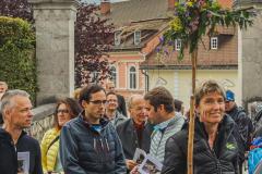 Wallfahrt des ÖVP-Parlamentsklubs - Foto: Basilika Mariazell/Anna Scherfler