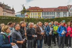 Wallfahrt des ÖVP-Parlamentsklubs - Foto: Basilika Mariazell/Anna Scherfler