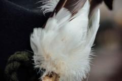 Wallfahrt Kameradschaftsbund 2019, Foto: Anna Scherfler