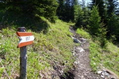 Wanderweg Spielmäuer