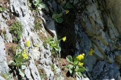 Wanderweg Spielmäuer