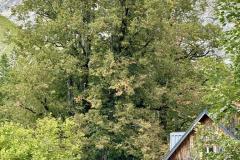 Weichselboden - Höll - Barbarakapelle,  Foto: Franz Peter Stadler