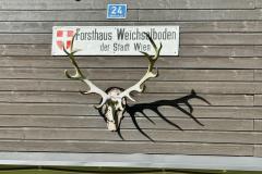 Weichselboden - Höll - Barbarakapelle,  Foto: Franz Peter Stadler