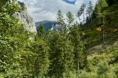 Weichselboden - Höll - Barbarakapelle,  Foto: Franz Peter Stadler