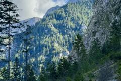 Weichselboden - Höll - Barbarakapelle,  Foto: Franz Peter Stadler