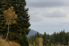 Foto: Mariazeller Land GmbH/Anna Scherfler