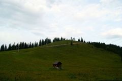 Weißalm, Foto: Mariazell Online