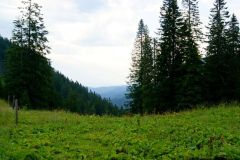 Weißalm, Foto: Mariazell Online