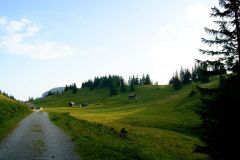 Weißalm, Foto: Mariazell Online