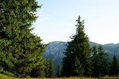 Weißalm, Foto: Mariazell Online