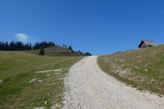 Hohe Wetterin - Foto: Mariazell Online