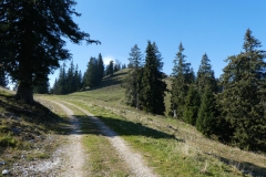 Hohe Wetterin - Foto: Mariazell Online
