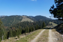 Hohe Wetterin - Foto: Mariazell Online