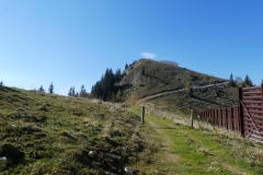 Hohe Wetterin - Foto: Mariazell Online