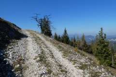 Hohe Wetterin - Foto: Mariazell Online