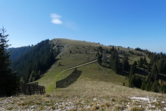 Hohe Wetterin - Foto: Mariazell Online