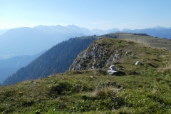 Hohe Wetterin - Foto: Mariazell Online