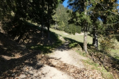 Hohe Wetterin - Foto: Mariazell Online