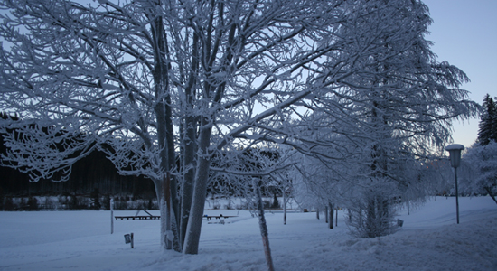 Erlaufsee im Winter Erlaufsee