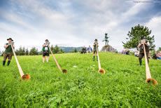 Alphornquartett / Foto: Fred Lindmoser Alphornquartett / Foto: Fred Lindmoser