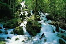 Kläfferquelle / Foto: Lammerhuber, Wiener Wasserwerke Kläfferquelle / Foto: Lammerhuber, Wiener Wasserwerke