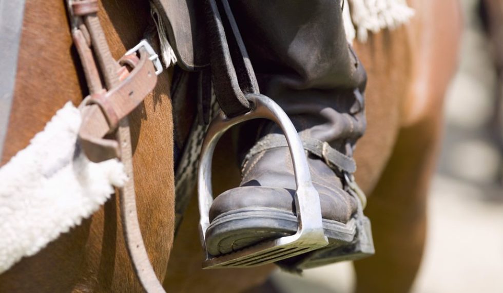 Reiten im Mariazeller Land / Foto: INGimage