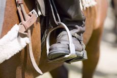 Reiten / Foto: INGimage Reiten / Foto: INGimage