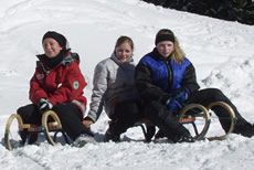 Rodelbahn / Foto: Seilbahnbetriebs GmbH