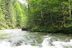 Salzaklamm Salzaklamm