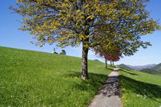 Spazierwege / Foto: Christian Sprosec Spazierwege / Foto: Christian Sprosec