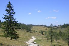 Wanderwege Wanderwege