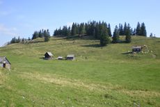 Weißalm Weißalm