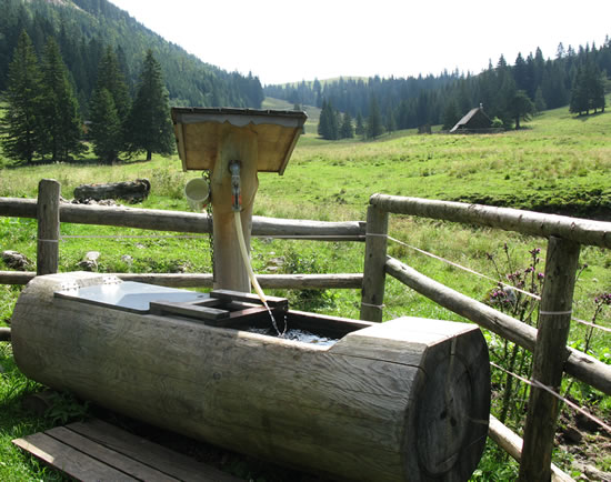 Brunnen Falbersbach - ÖAV Hütte Brunnen Falbersbach - ÖAV Hütte