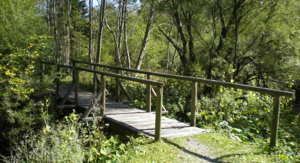 Rundwanderweg Rundwanderweg
