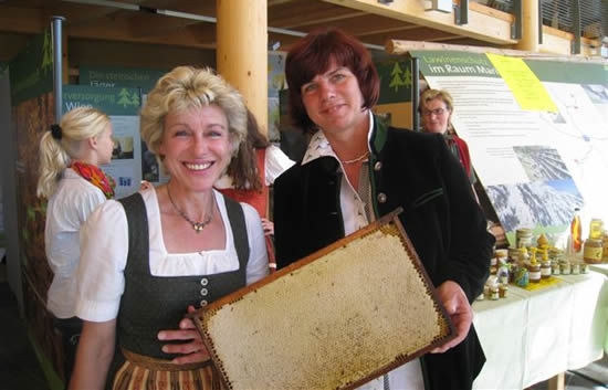 Bienensilvester Bienensilvester