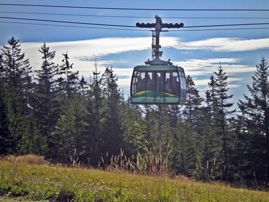 Mariazeller Bürgeralpe