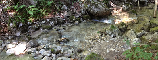 Outdoor & Survival Kurs Outdoor & Survival Kurs