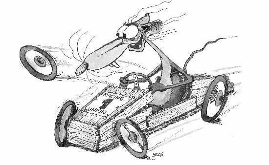 Mariazeller Seifenkisten GP 2014