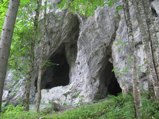 Informationsabend Hohlensteinhöhle Informationsabend Hohlensteinhöhle
