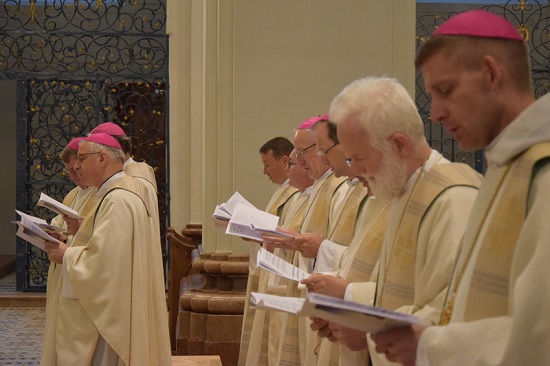 Sommervollversammlung 2015 / Foto: Paul Wuthe (Kathpress)