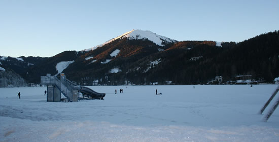 Bienensilvester Projekt "Deep Honey Diving" Bienensilvester Projekt "Deep Honey Diving"