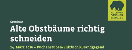 Obstbäume schneiden Obstbäume schneiden